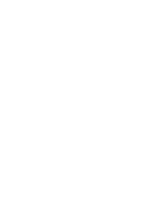 icon-white