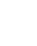 icon-white